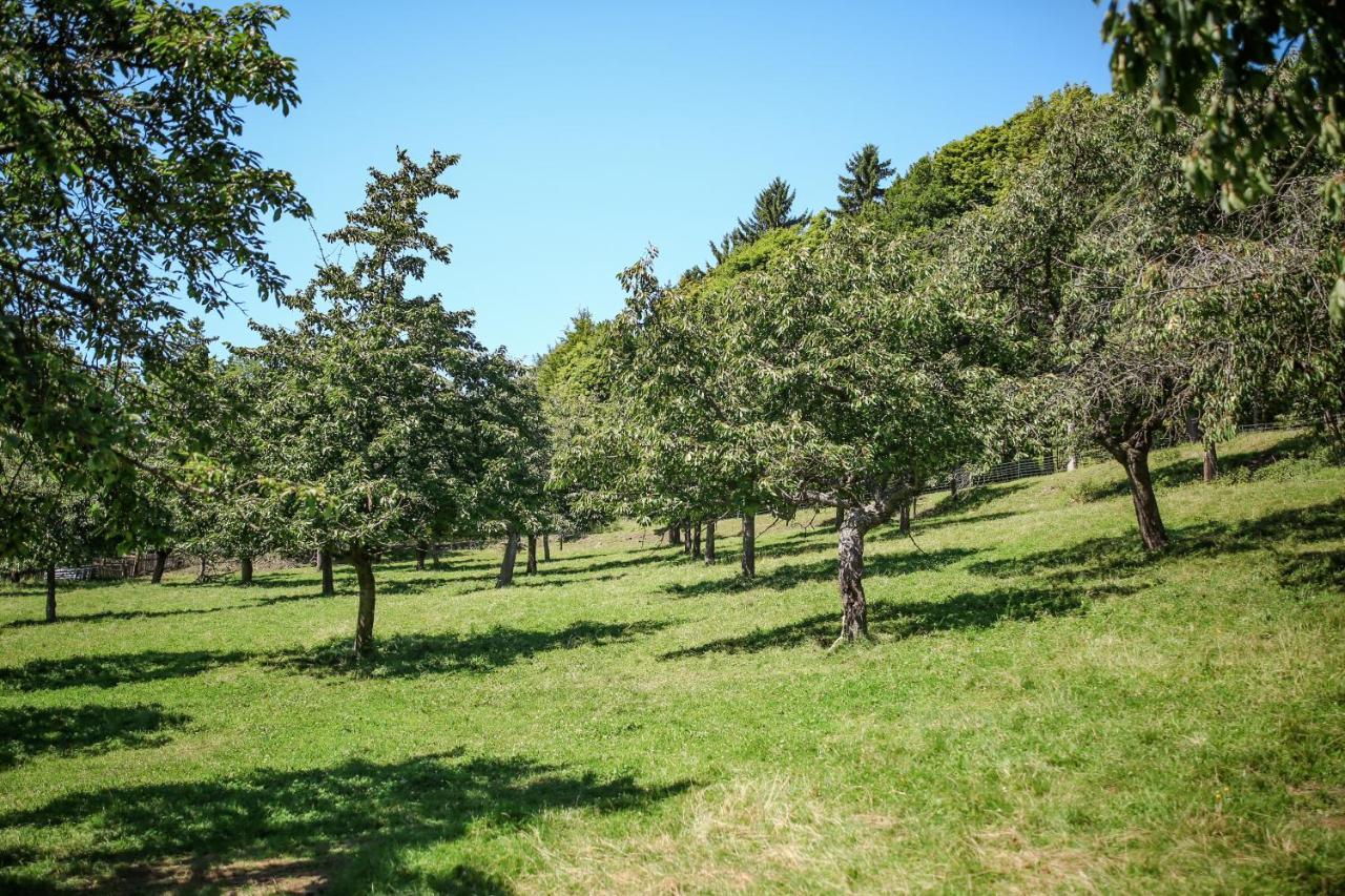 Bohem zapomenuté místo Valec Exterior foto